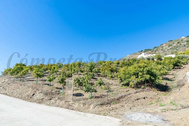 2 bedroom Finca/Country House for sale in Cómpeta - € 262,500 (Ref: 10076073)