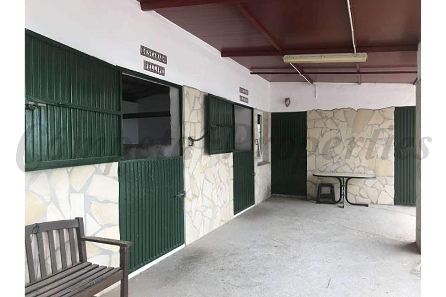 Finca/Casa Rural de 4 habitaciones en Sayalonga en venta con piscina garaje - 1.350.000 € (Ref: 10076075)
