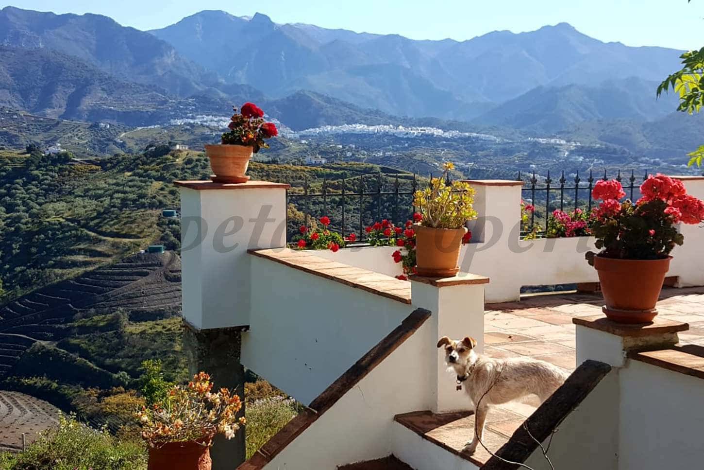 7 chambre Finca/Maison de Campagne à vendre à Torrox avec piscine - 880 000 € (Ref: 10076078)
