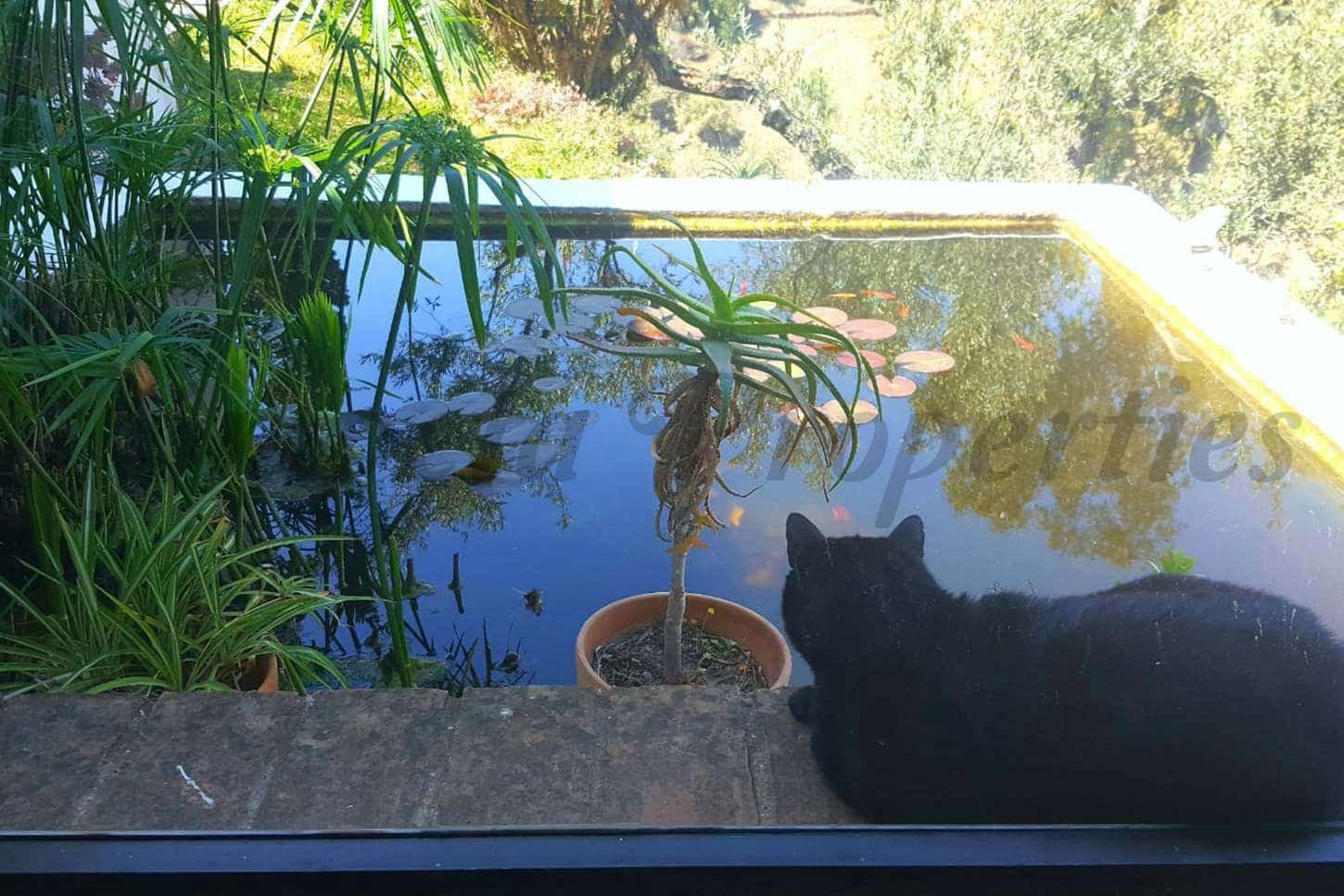 7 chambre Finca/Maison de Campagne à vendre à Torrox avec piscine - 880 000 € (Ref: 10076078)