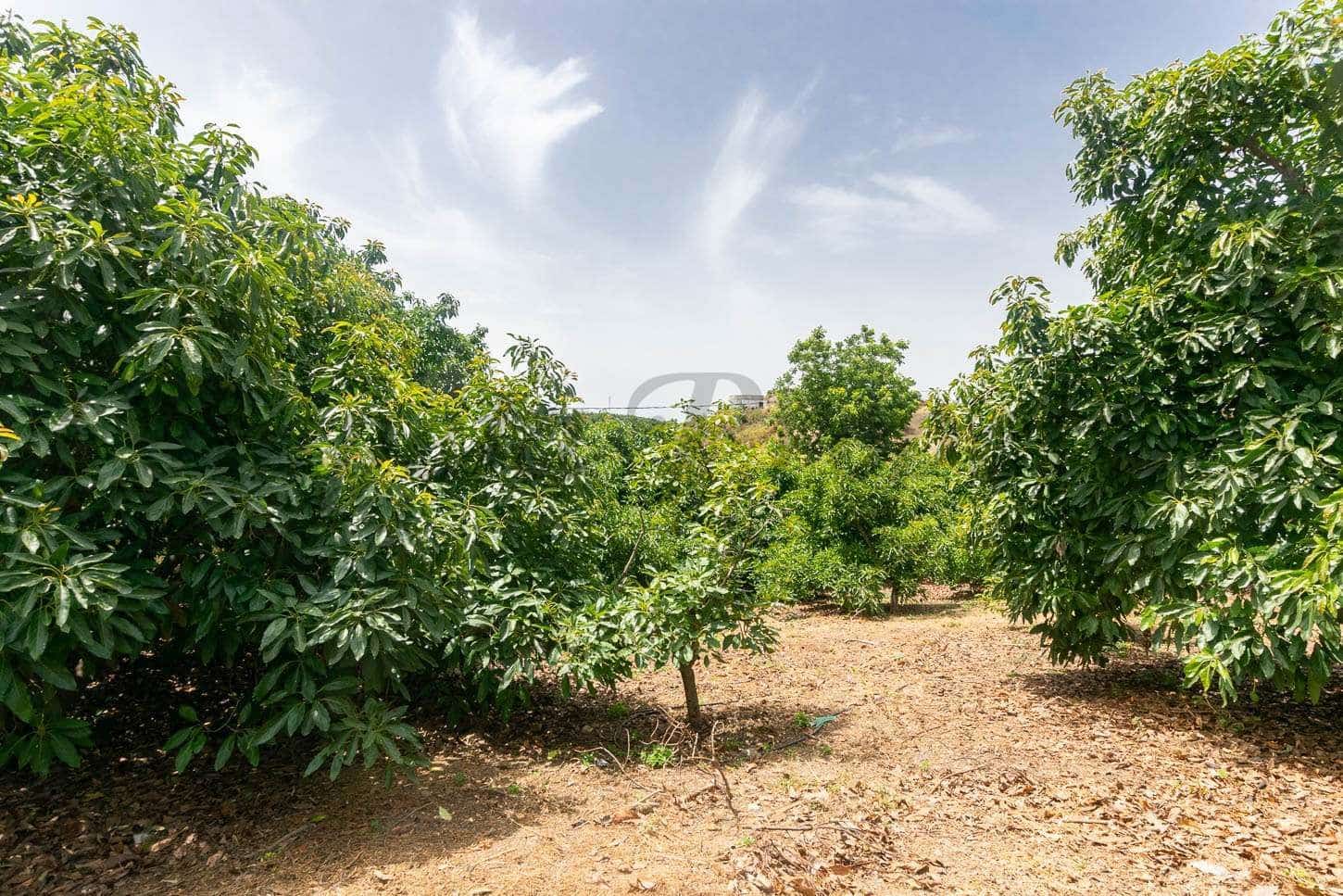 3 camera da letto Finca/Casa di Campagna in vendita in Almayate - 346.500 € (Rif: 10076079)