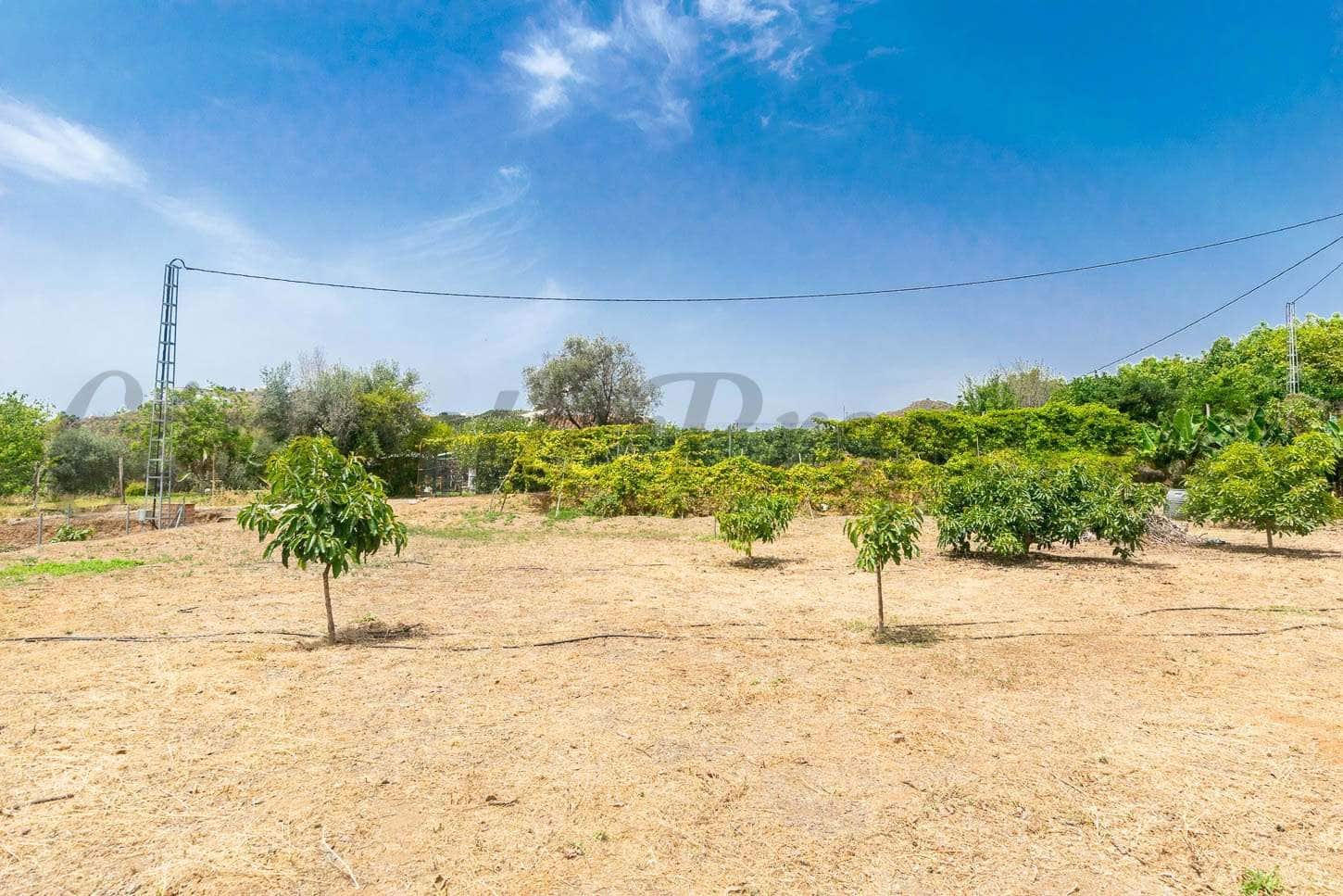 3 camera da letto Finca/Casa di Campagna in vendita in Almayate - 346.500 € (Rif: 10076079)