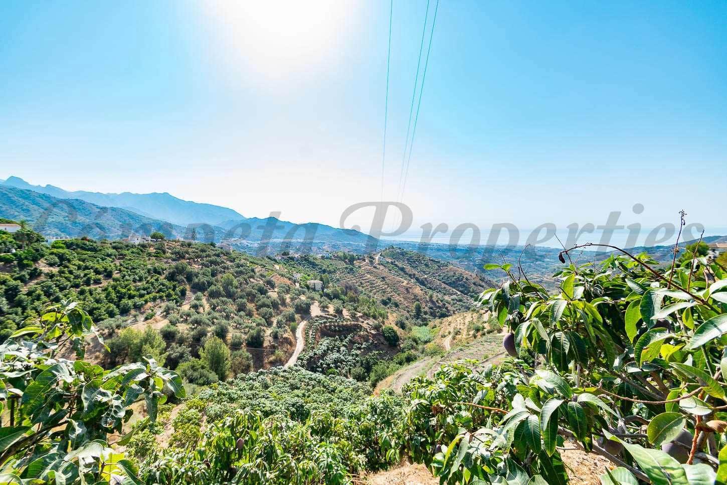 Ubebygd land til salgs i Torrox - € 159 000 (Ref: 10076084)