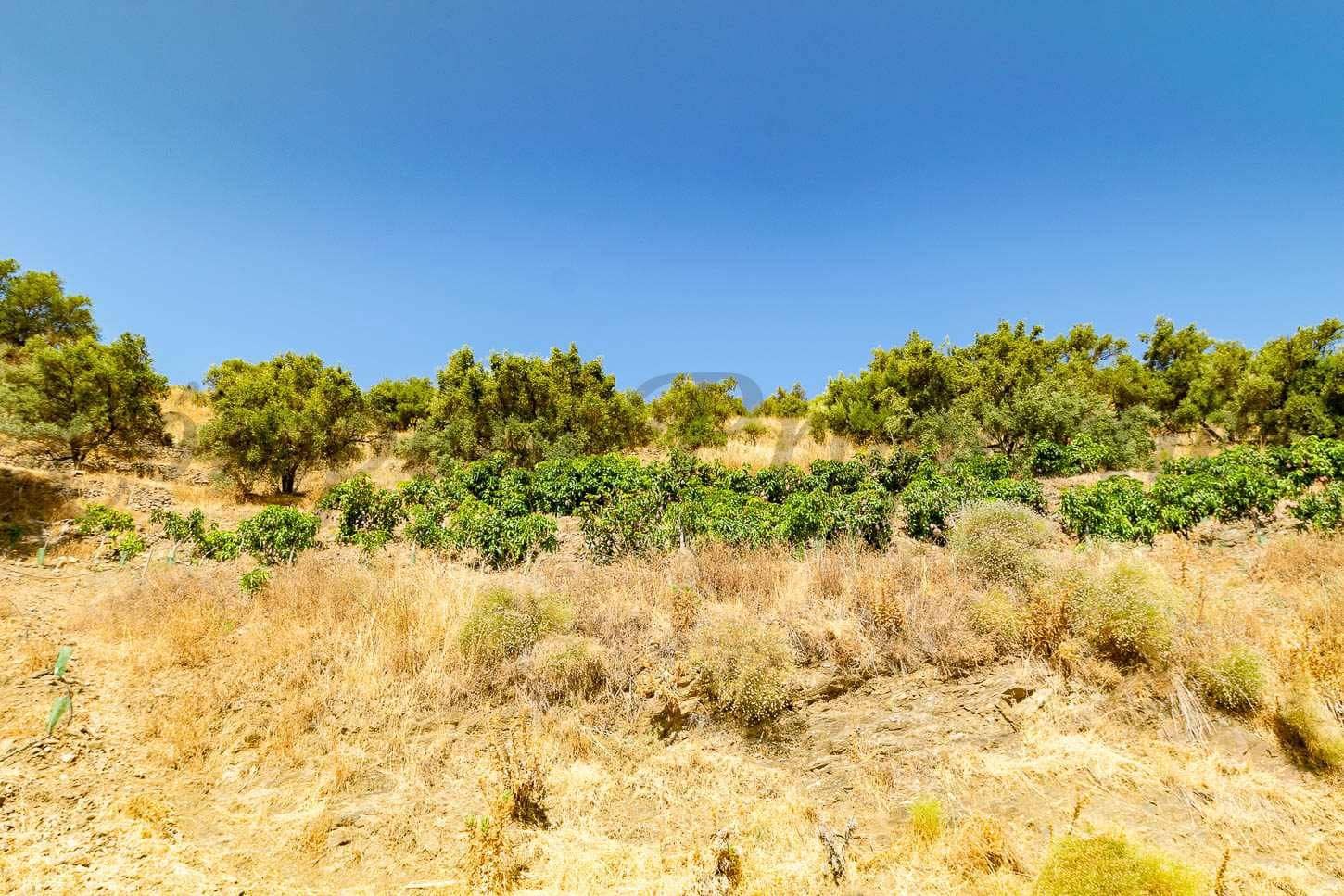 Ubebygd land til salgs i Torrox - € 159 000 (Ref: 10076084)
