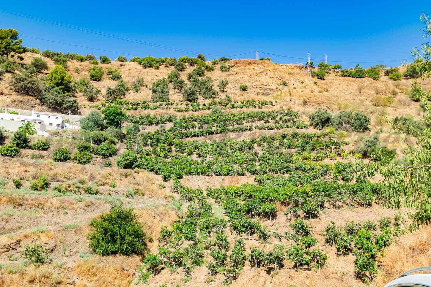 Ubebygd land til salgs i Torrox - € 159 000 (Ref: 10076084)