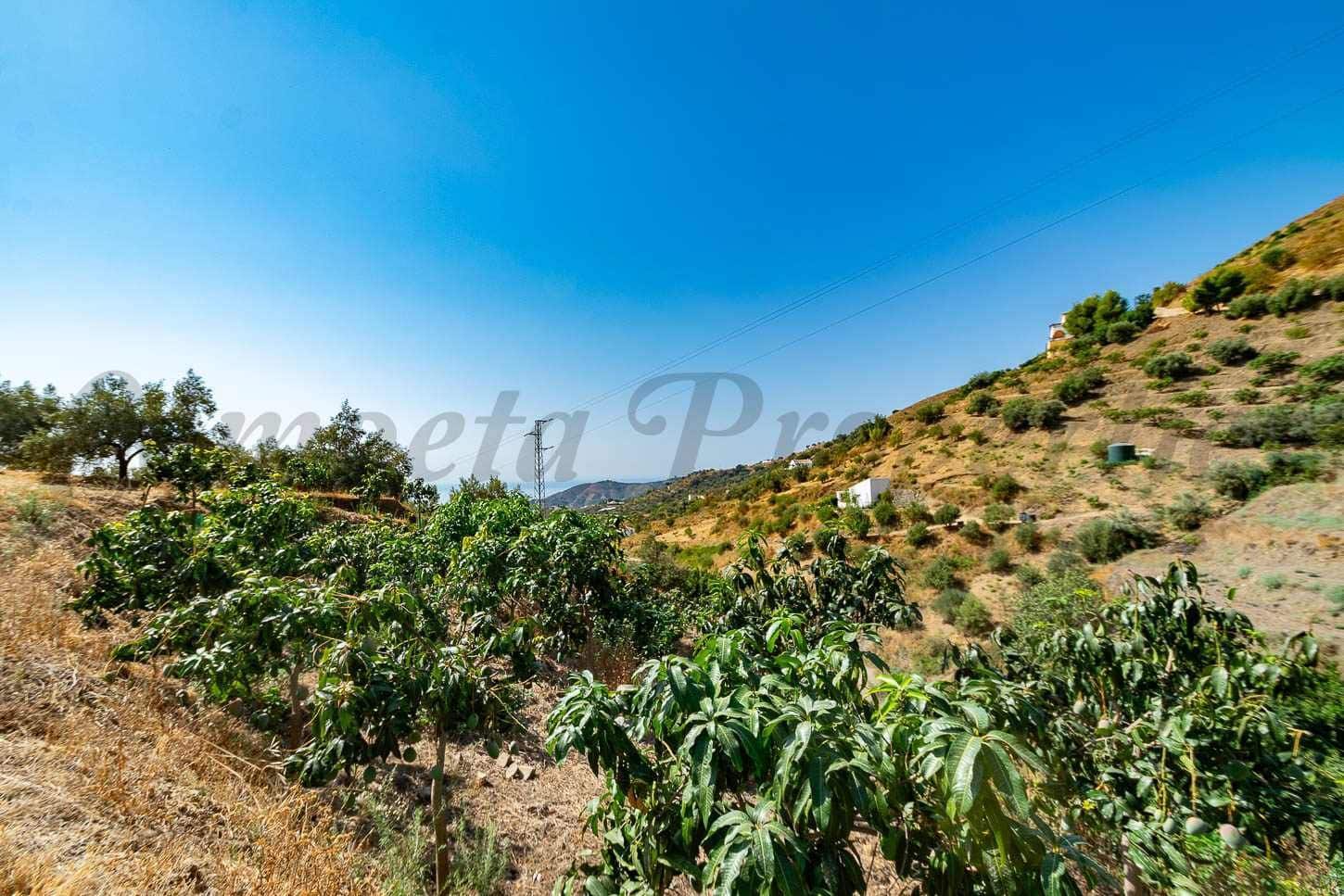 Ubebygd land til salgs i Torrox - € 159 000 (Ref: 10076084)