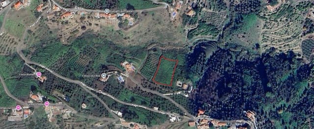 Terreno Non Edificato in vendita in Torrox Pueblo, Torrox - 26.000 € (Rif: 10076087)