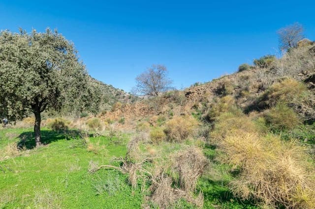 Terreno Não Urbanizado para venda em Cómpeta - 87 000 € (Ref: 10076091)