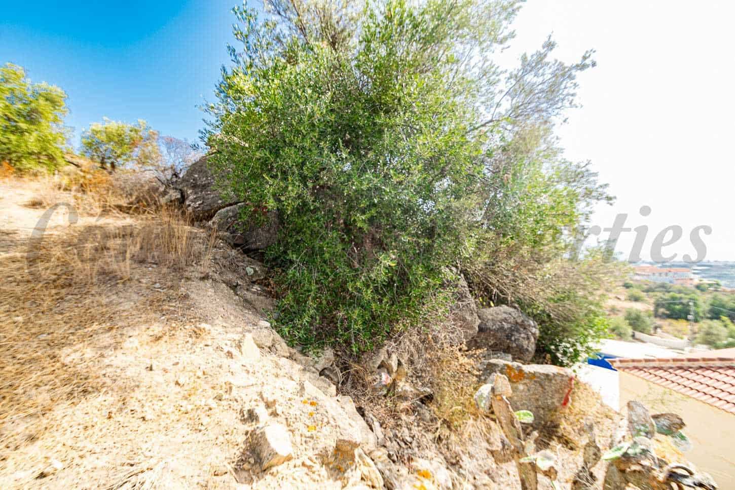 Terreno Non Edificato in vendita in Torrox - 62.500 € (Rif: 10076092)