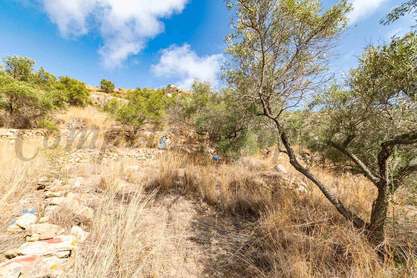 Terreno Non Edificato in vendita in Torrox - 62.500 € (Rif: 10076092)
