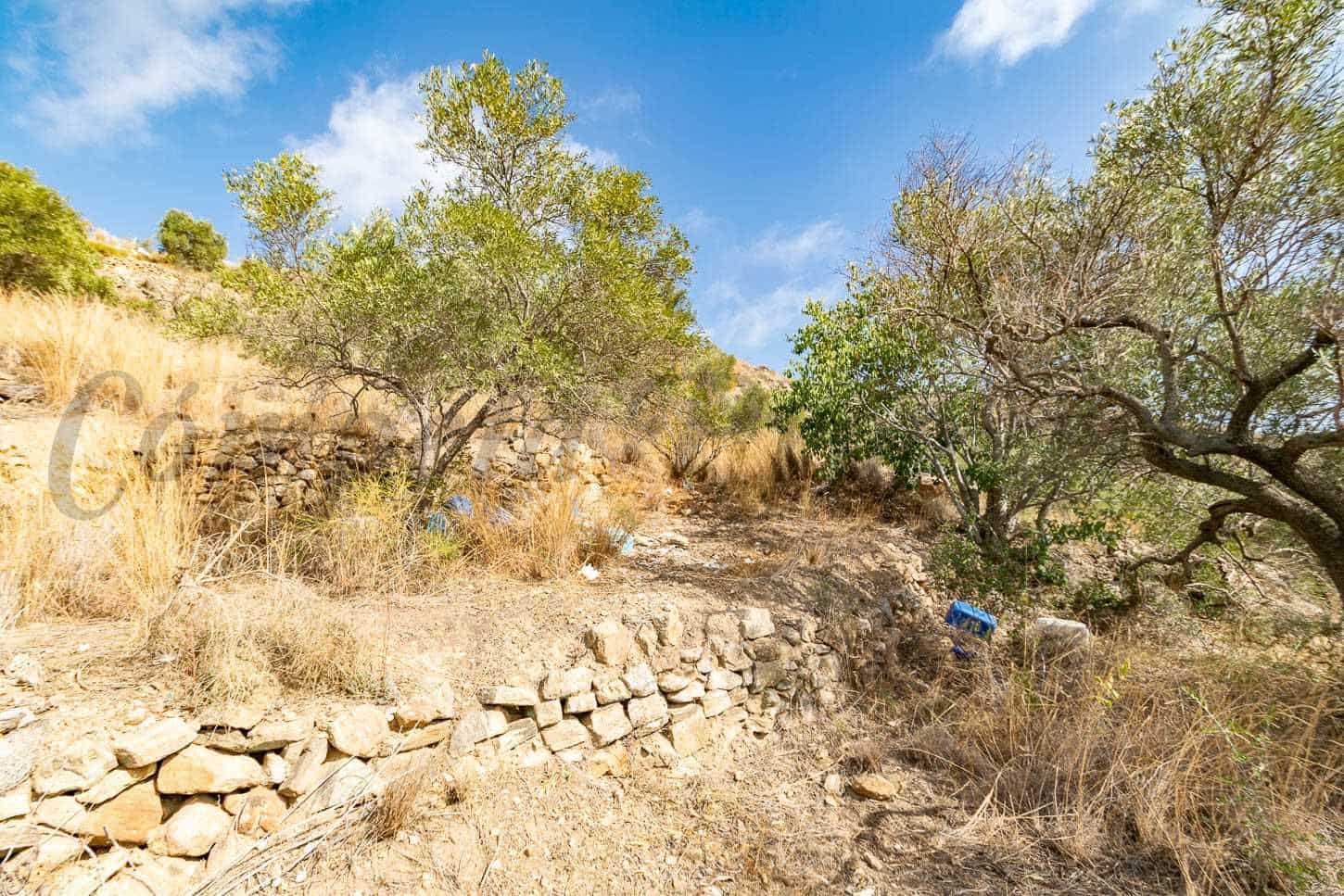 Terreno Non Edificato in vendita in Torrox - 62.500 € (Rif: 10076092)