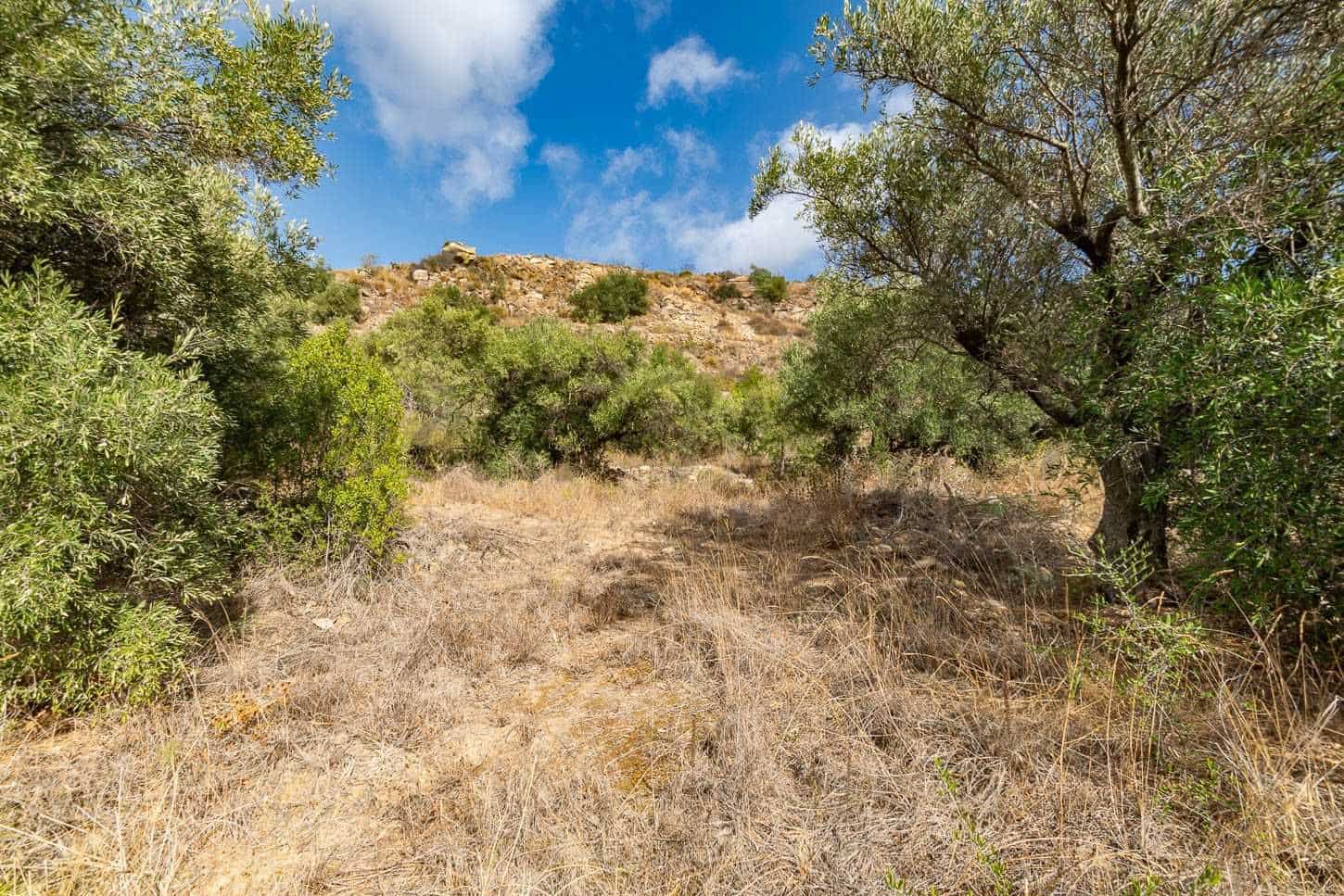 Terreno Non Edificato in vendita in Torrox - 62.500 € (Rif: 10076092)