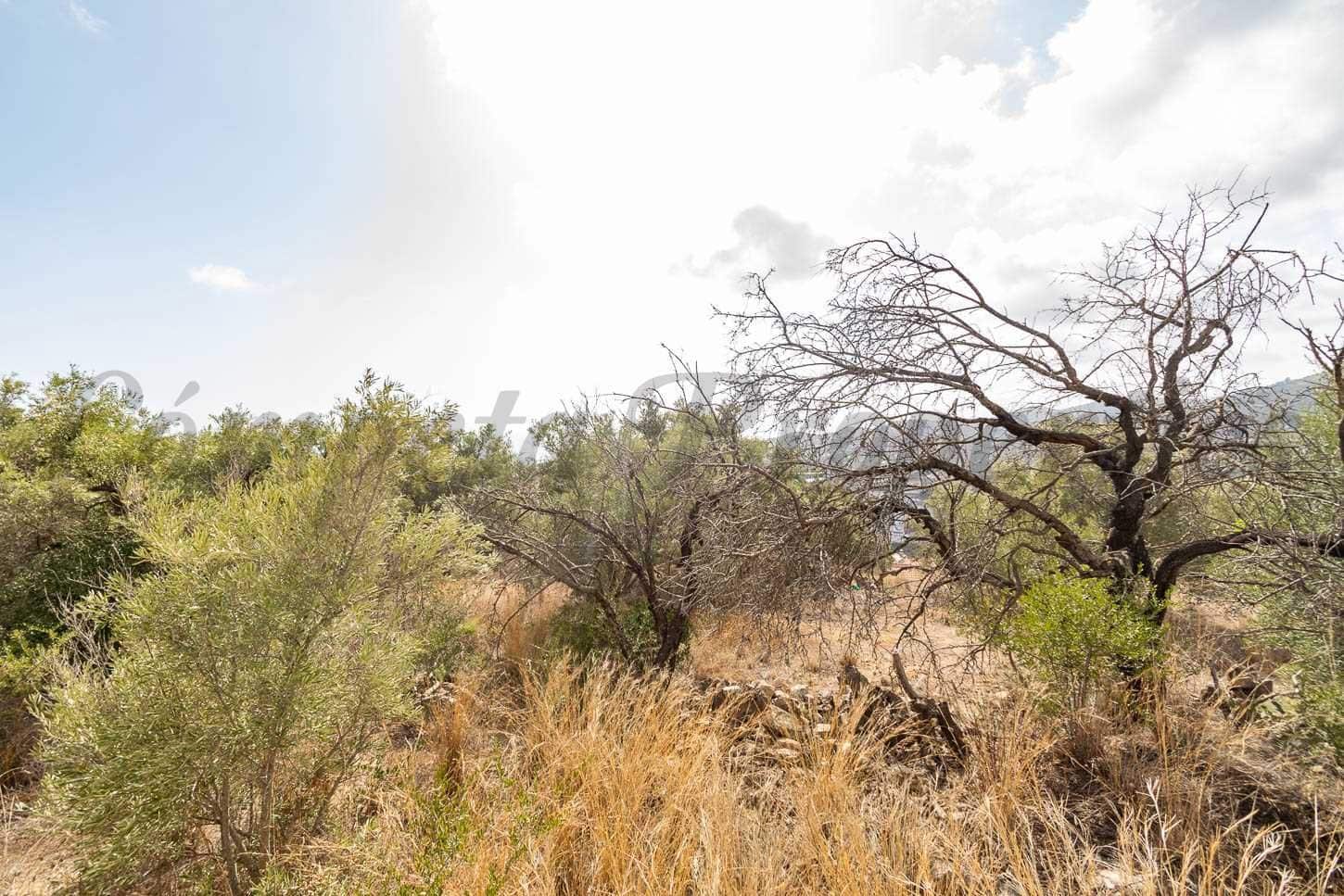 Terreno Non Edificato in vendita in Torrox - 62.500 € (Rif: 10076092)