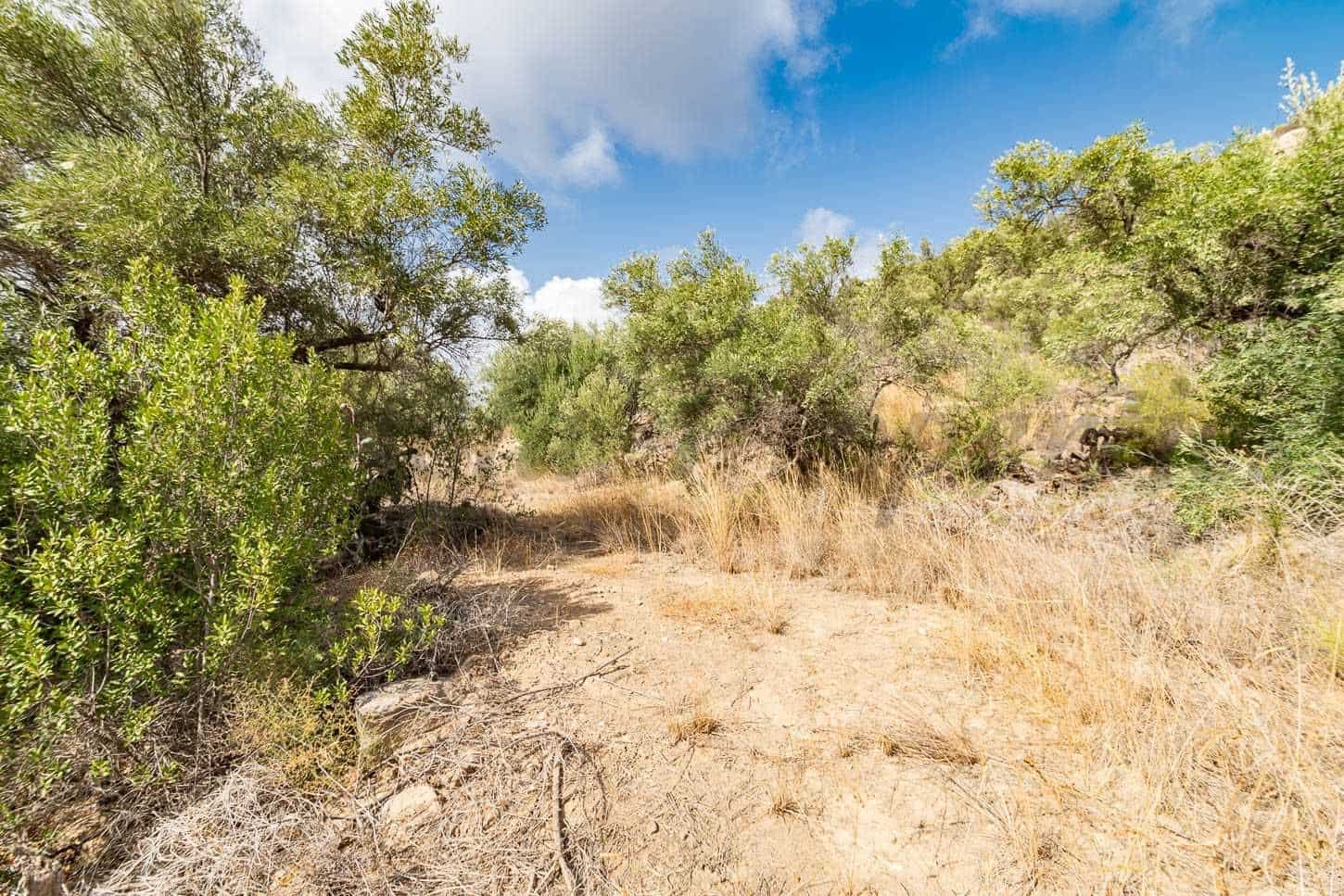 Terreno Non Edificato in vendita in Torrox - 62.500 € (Rif: 10076092)