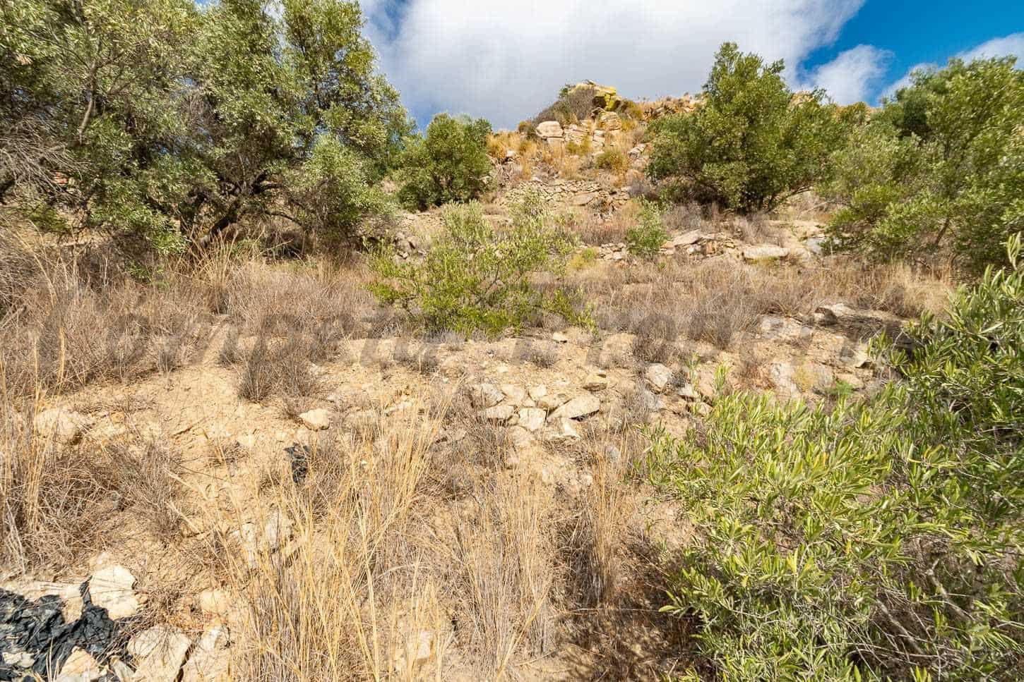 Terreno Non Edificato in vendita in Torrox - 62.500 € (Rif: 10076092)