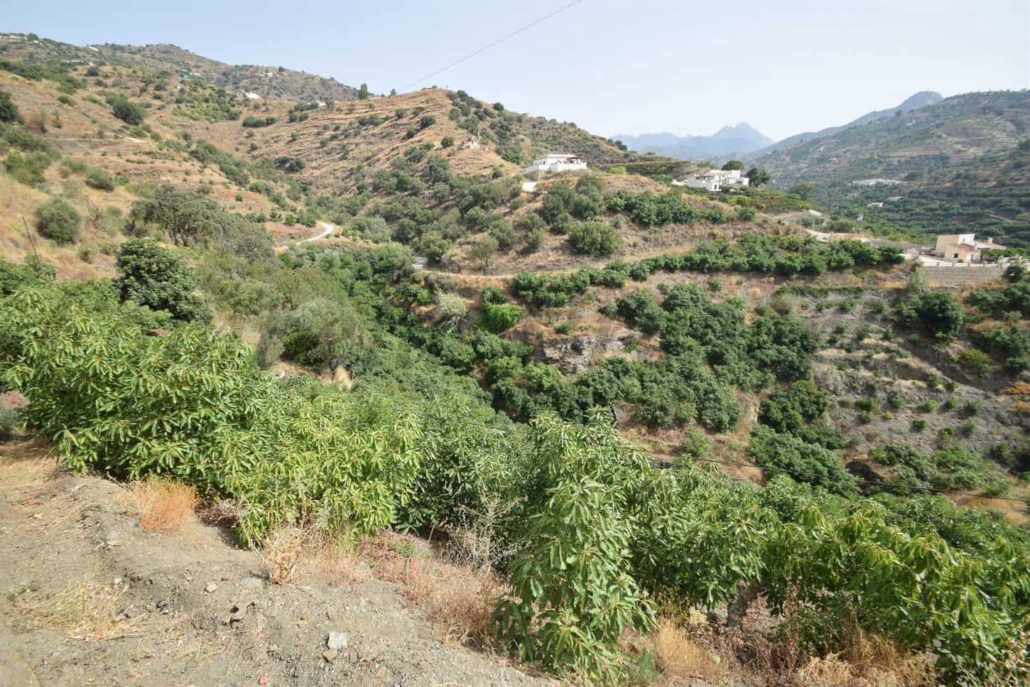 Terreno Não Urbanizado para venda em Torrox - 77 500 € (Ref: 10076093)