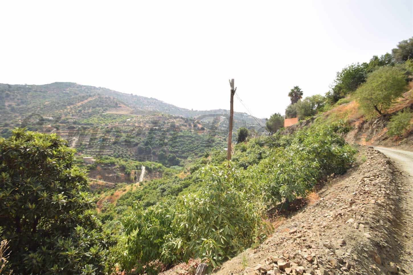 Terreno Não Urbanizado para venda em Torrox - 77 500 € (Ref: 10076093)
