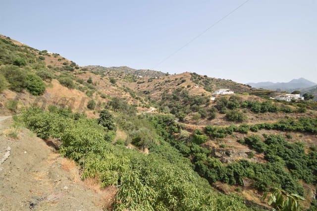 Terreno Não Urbanizado para venda em Torrox Pueblo, Torrox - 77 500 € (Ref: 10076093)