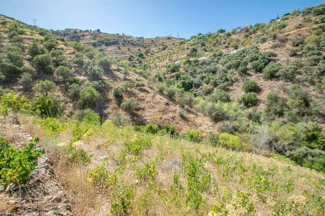 Terreno Não Urbanizado para venda em Torrox Pueblo, Torrox - 97 500 € (Ref: 10076094)