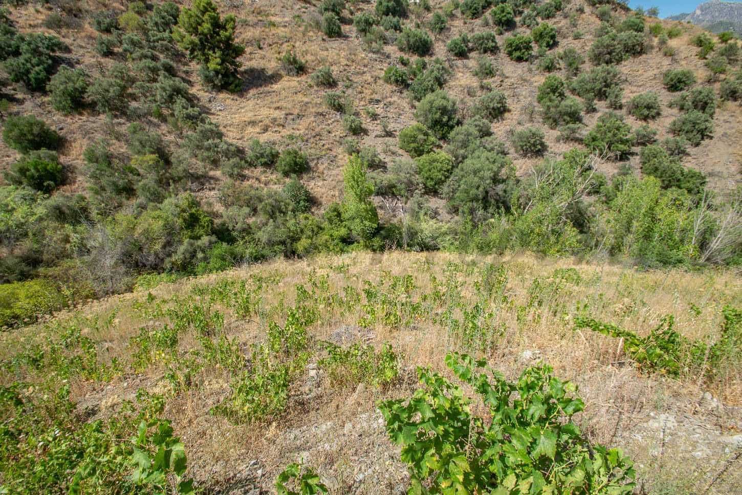 Grunde uden byggetilladelser til salg i Torrox - € 97.500 (Ref: 10076094)