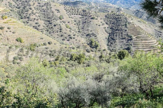 Teren niezagospodarowany na sprzedaż w Torrox - 130 000 € (Ref: 10076095)