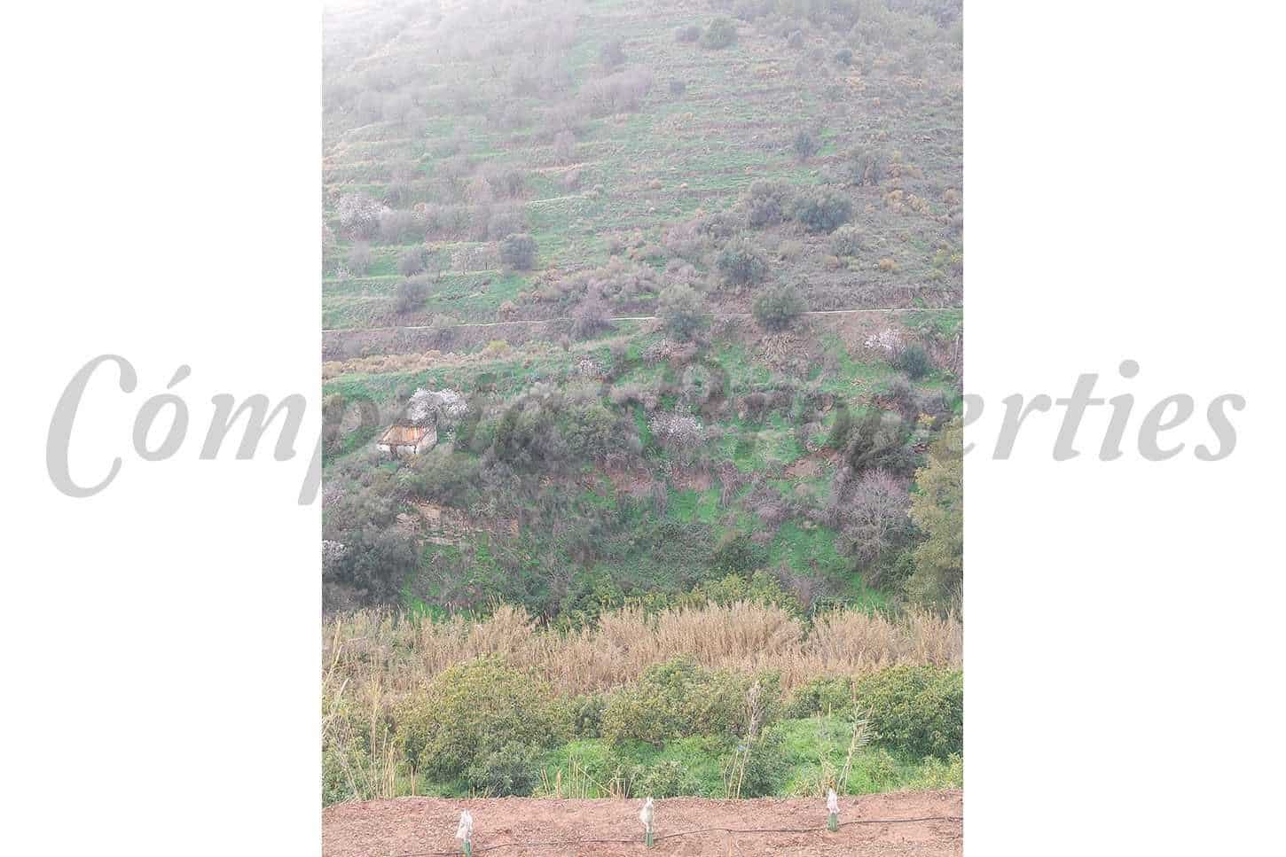 Mark till salu i Torrox - 73 000 € (Ref: 10076096)