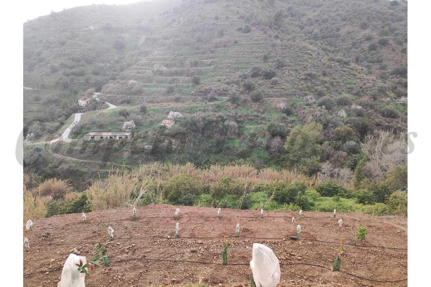 Mark till salu i Torrox - 73 000 € (Ref: 10076096)