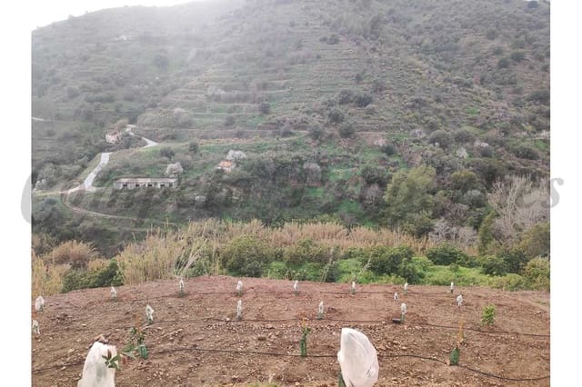 Landgrundstück zu verkaufen in Torrox Pueblo, Torrox - 73.000 € (Ref: 10076096)