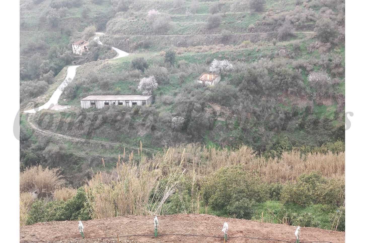 Mark till salu i Torrox - 73 000 € (Ref: 10076096)