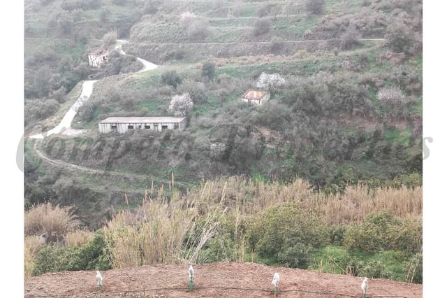 Landgrundstück zu verkaufen in Torrox Pueblo, Torrox - 73.000 € (Ref: 10076096)