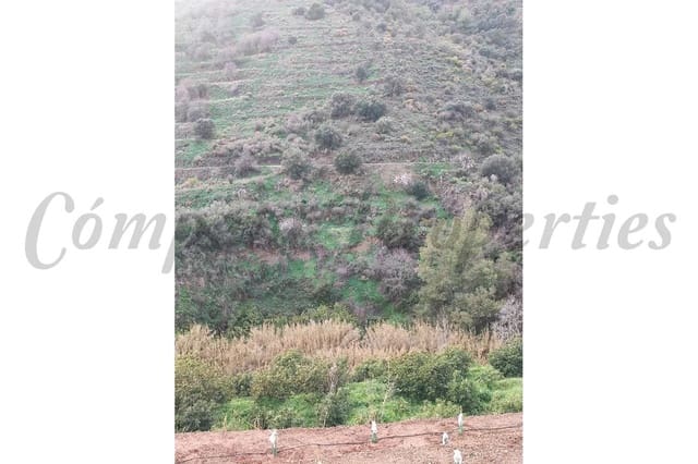 Landgrundstück zu verkaufen in Torrox Pueblo, Torrox - 73.000 € (Ref: 10076096)