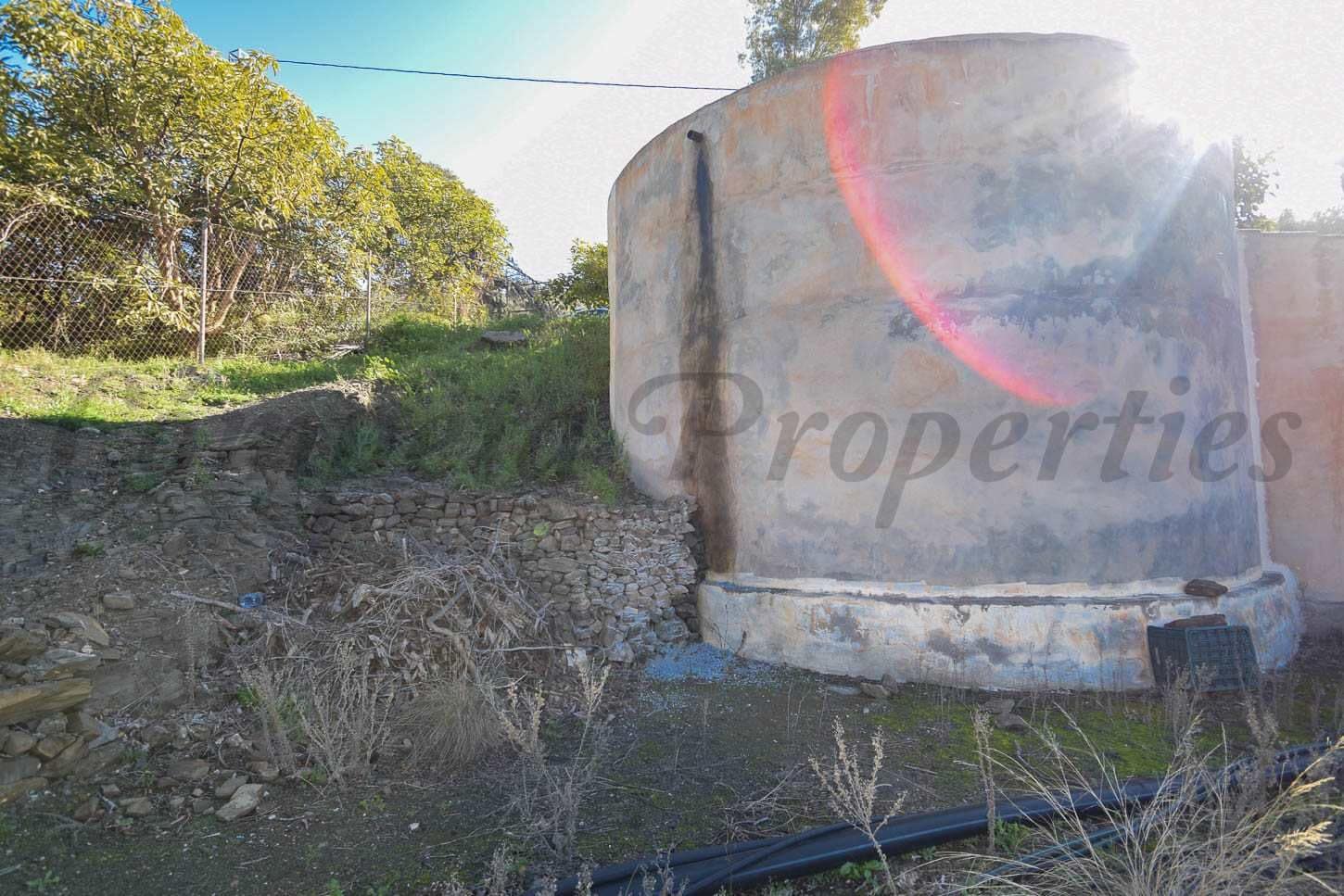 Ubebygd land til salgs i Torrox - € 80 000 (Ref: 10076098)