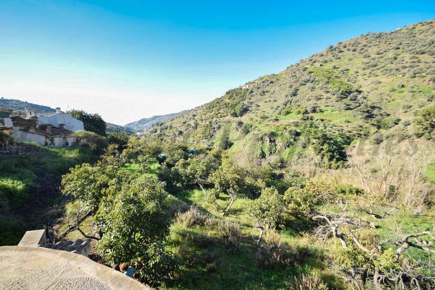 Ubebygd land til salgs i Torrox - € 80 000 (Ref: 10076098)