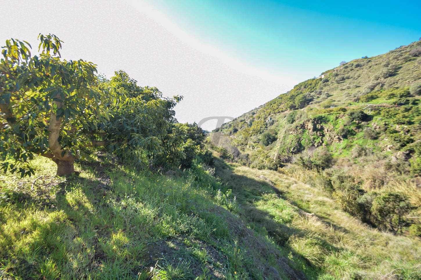 Ubebygd land til salgs i Torrox - € 80 000 (Ref: 10076098)