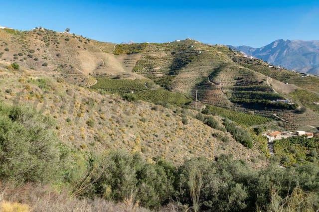 Terreno Não Urbanizado para venda em Avda Pescia - Ctra de Frigiliana, Nerja - 156 000 € (Ref: 10076106)