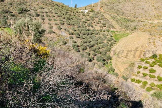 Terreno Não Urbanizado para venda em Avda Pescia - Ctra de Frigiliana, Nerja - 156 000 € (Ref: 10076106)