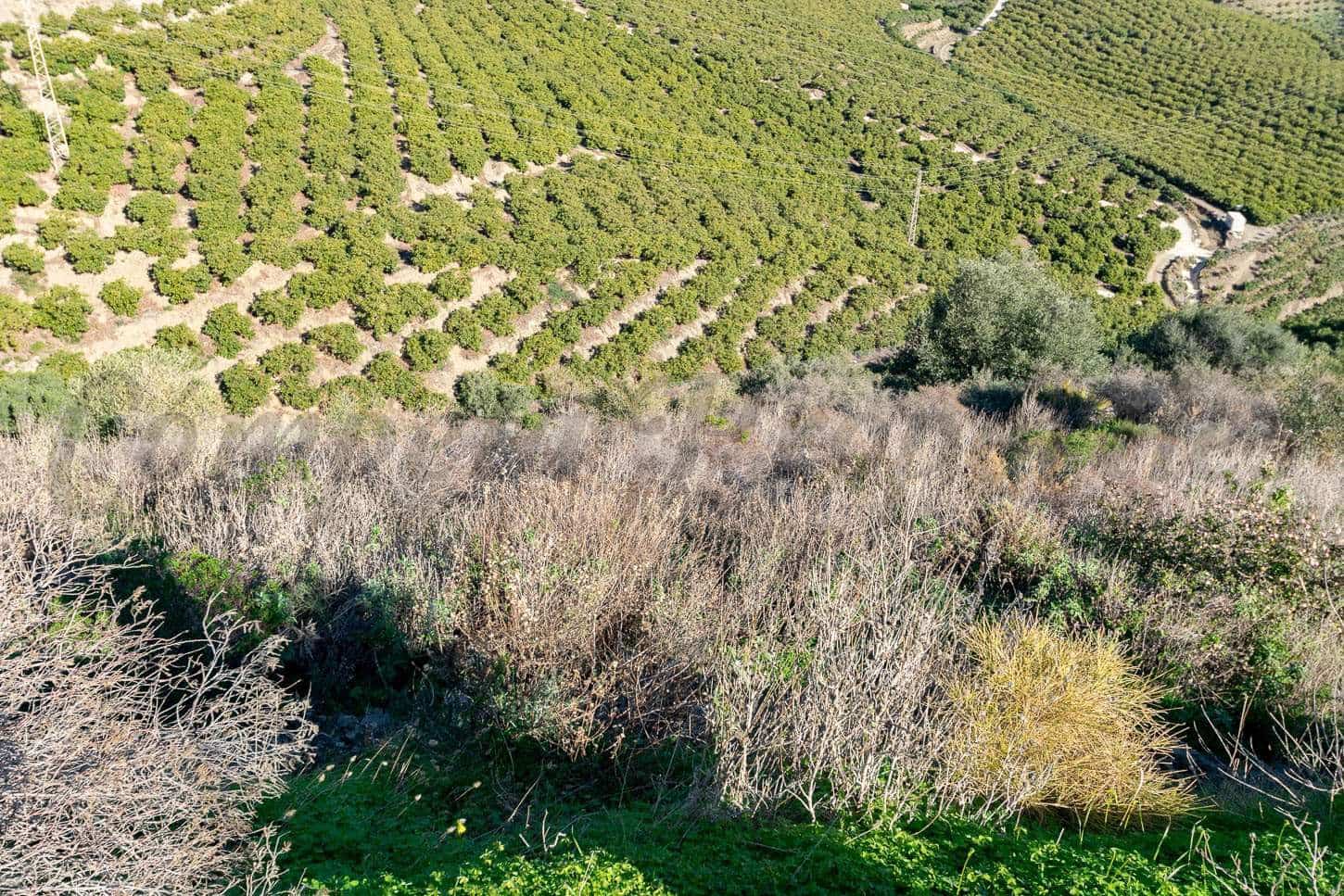 Grunde uden byggetilladelser til salg i Nerja - € 156.000 (Ref: 10076106)