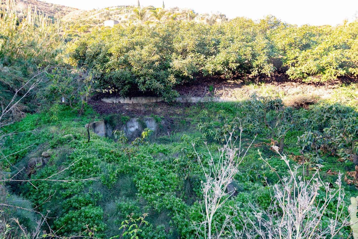 Grunde uden byggetilladelser til salg i Nerja - € 156.000 (Ref: 10076106)