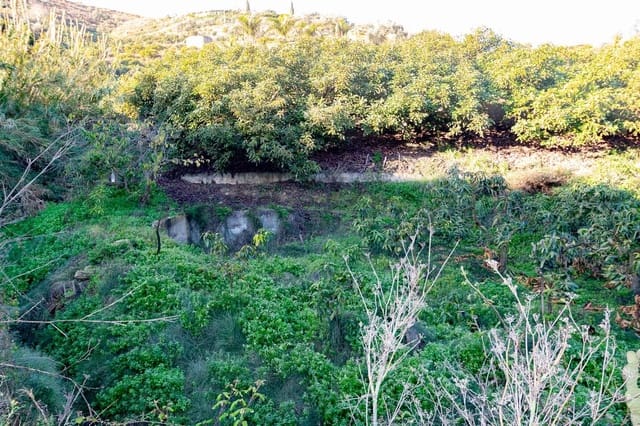 Terreno Não Urbanizado para venda em Avda Pescia - Ctra de Frigiliana, Nerja - 156 000 € (Ref: 10076106)