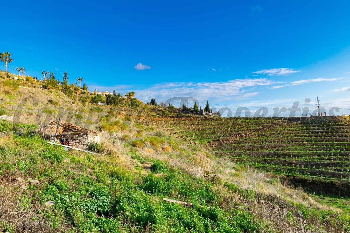 Finca/Hus på landet till salu i Torrox - 107 500 € (Ref: 10076122)