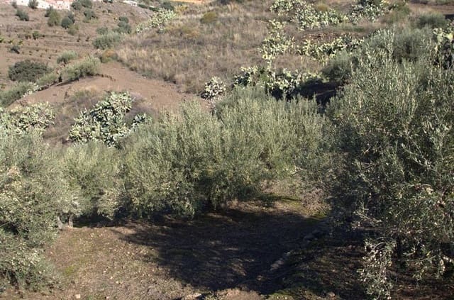1 sovrum Finca/Hus på landet till salu i Torrox Pueblo, Torrox med garage - 265 000 € (Ref: 10076125)