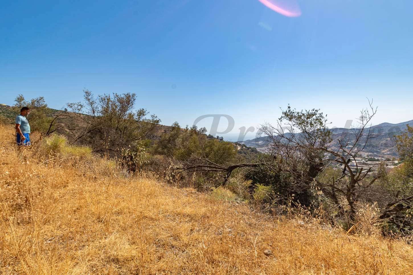 Undeveloped Land for sale in Torrox - € 44,500 (Ref: 10076126)