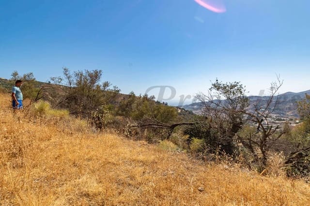 Terre non Aménagée à vendre à Torrox Pueblo, Torrox - 44 500 € (Ref: 10076126)