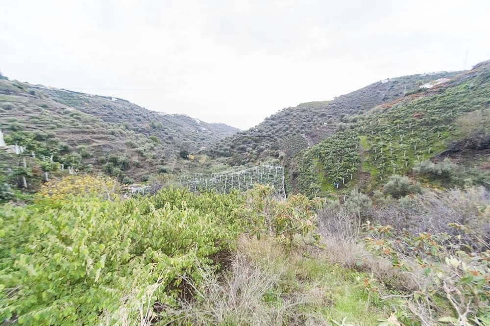 1 quarto Quinta/Casa Rural para venda em Torrox - 160 000 € (Ref: 10076139)