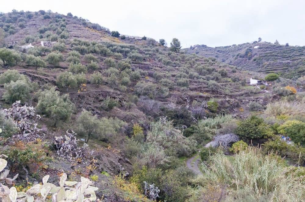 1 quarto Quinta/Casa Rural para venda em Torrox - 160 000 € (Ref: 10076139)