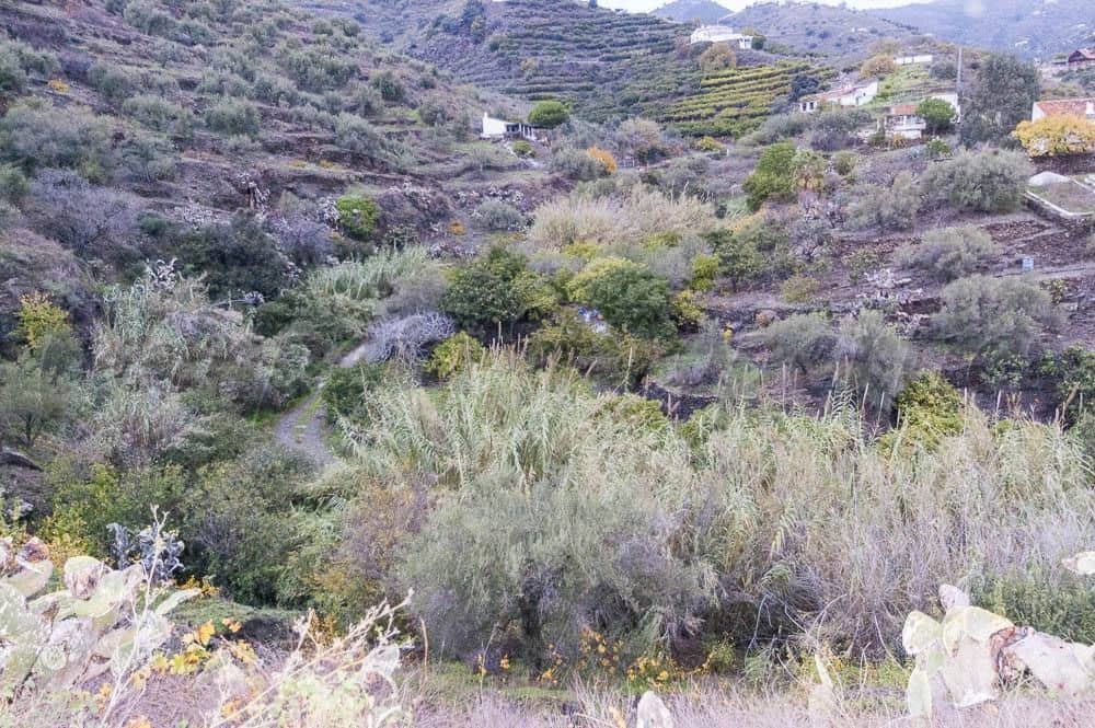 1 quarto Quinta/Casa Rural para venda em Torrox - 160 000 € (Ref: 10076139)