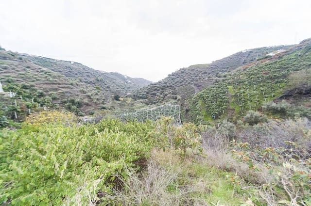 1 sovrum Finca/Hus på landet till salu i Torrox Pueblo, Torrox - 160 000 € (Ref: 10076139)