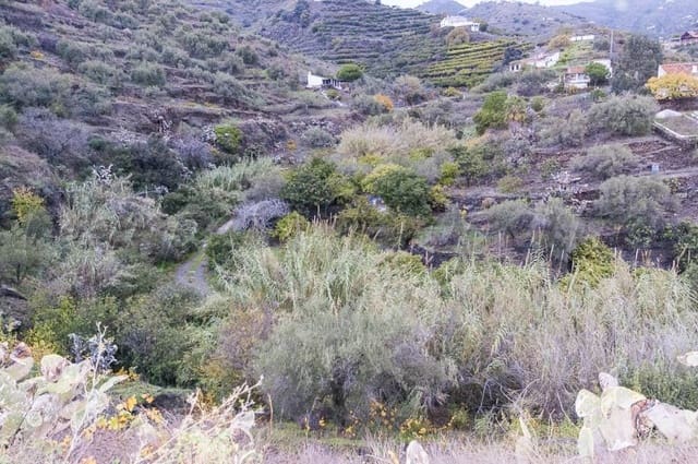 1 sovrum Finca/Hus på landet till salu i Torrox Pueblo, Torrox - 160 000 € (Ref: 10076139)