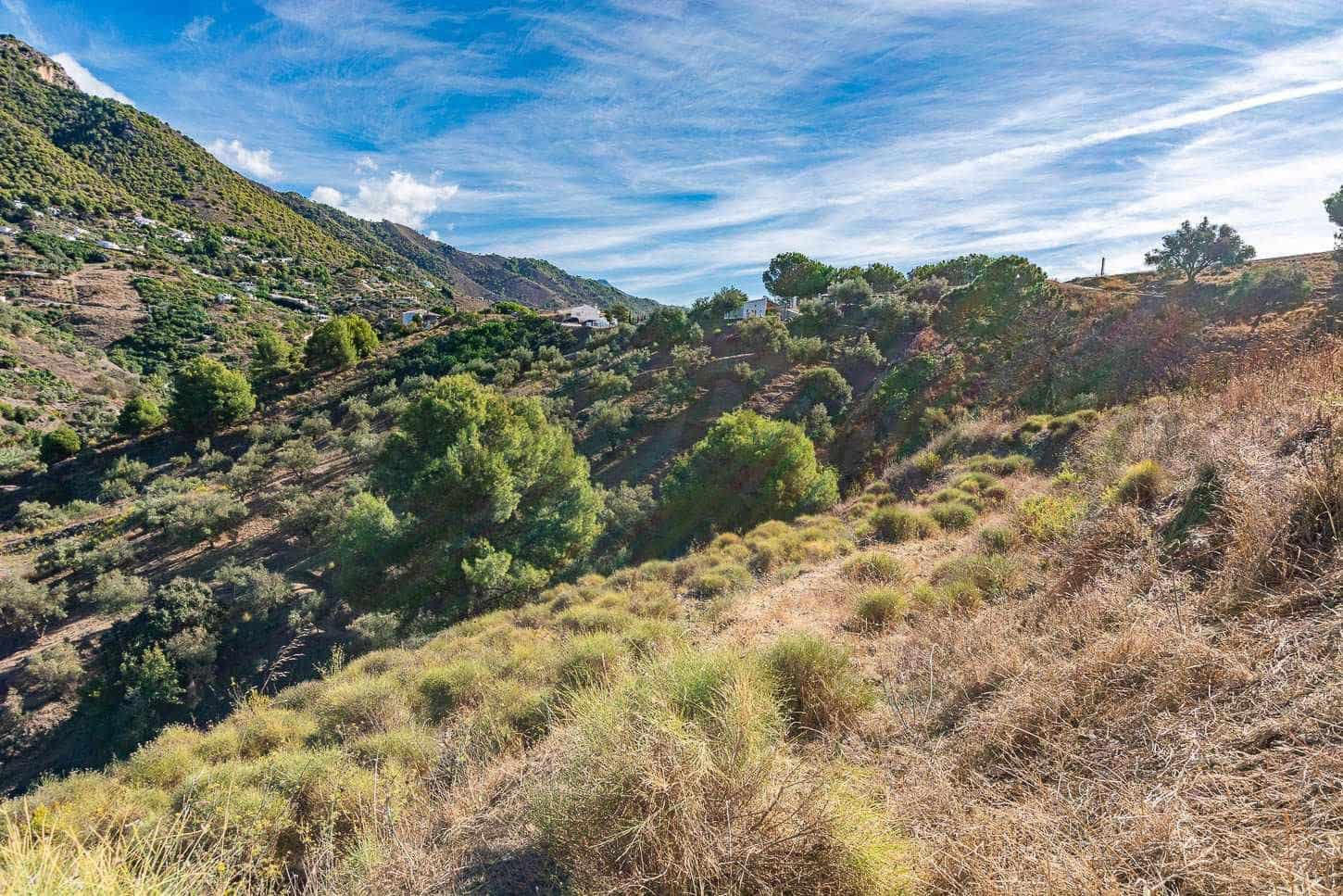 Terreno Não Urbanizado para venda em Torrox - 240 000 € (Ref: 10076161)