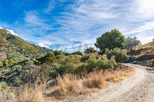 Terreno Não Urbanizado para venda em Torrox - 240 000 € (Ref: 10076161)